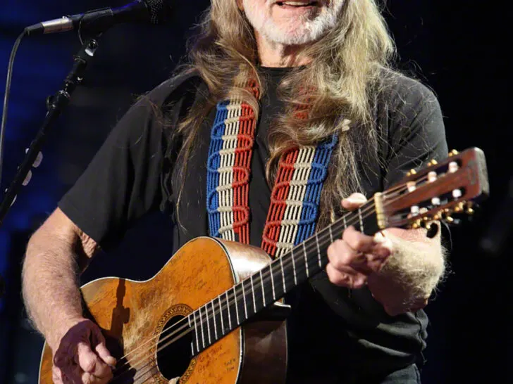 Willie_Nelson_at_Farm_Aid_2009_(cropped)