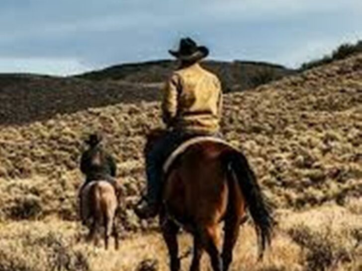 Where Can You Watch Yellowstone For Free? (Let’s Explore)