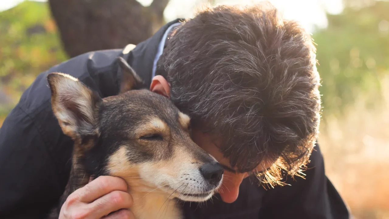 Dog sitting next to the owner
