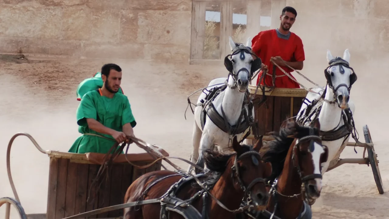 jerash jordan  11 25 2008 chariot driver jordanian men