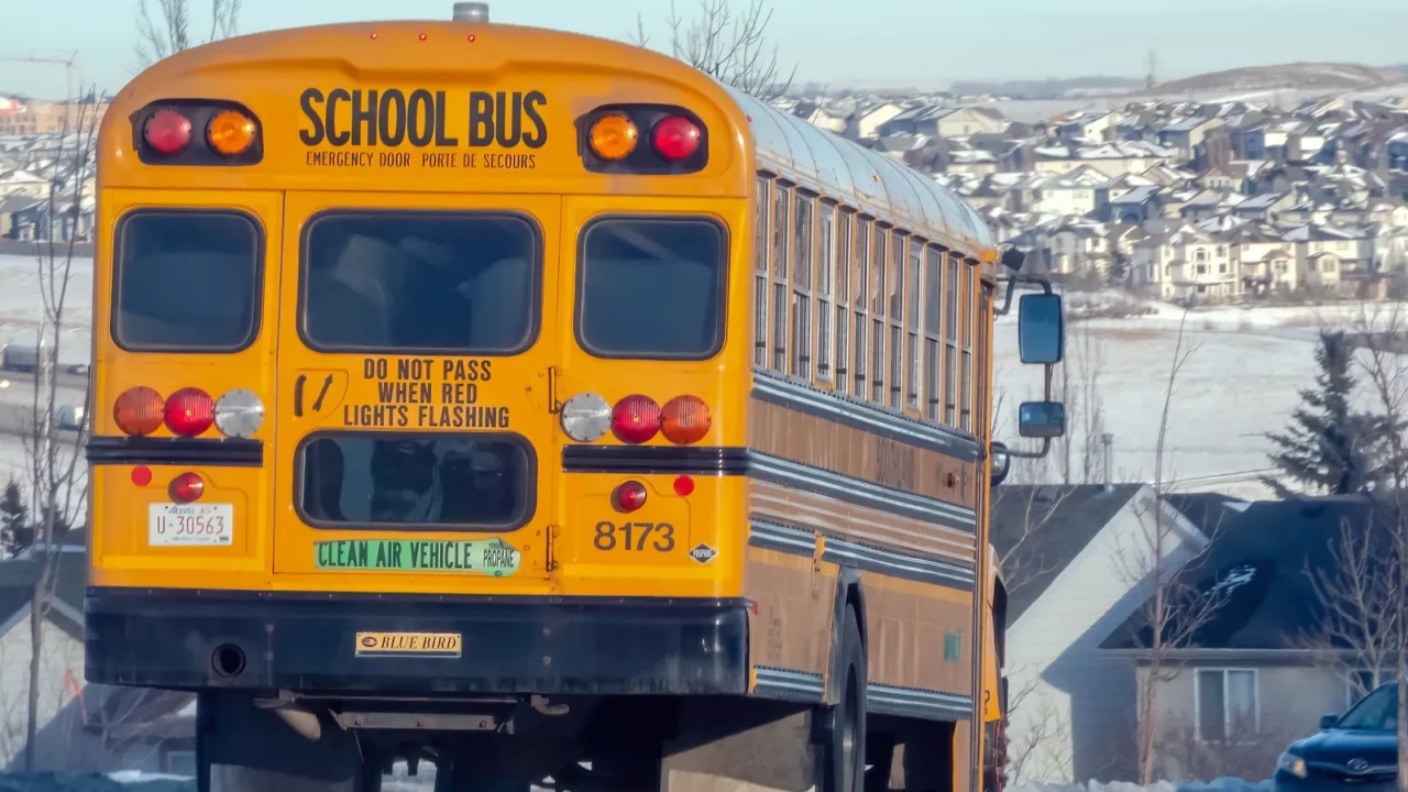 A school bus on a road.